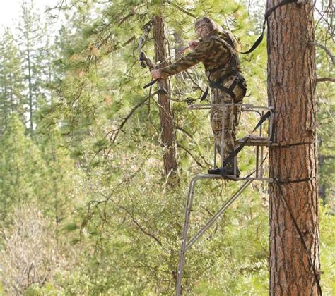 hunting archer 廣州|Setting Up a Tree Stand for Archery Hunting: Do’s and Don’ts